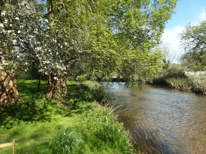 Landscape photo by the river side