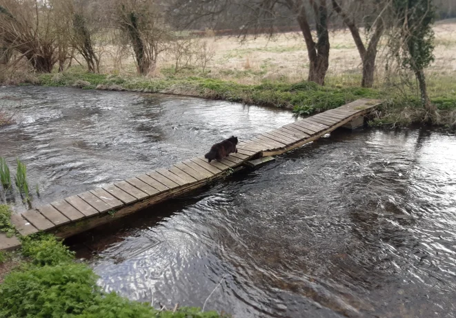 Picture of a bridge over a river